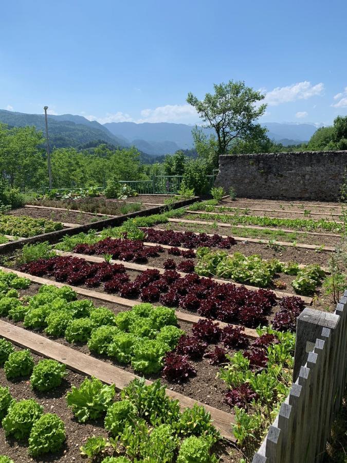 Kunstelj Pension Radovljica Bagian luar foto
